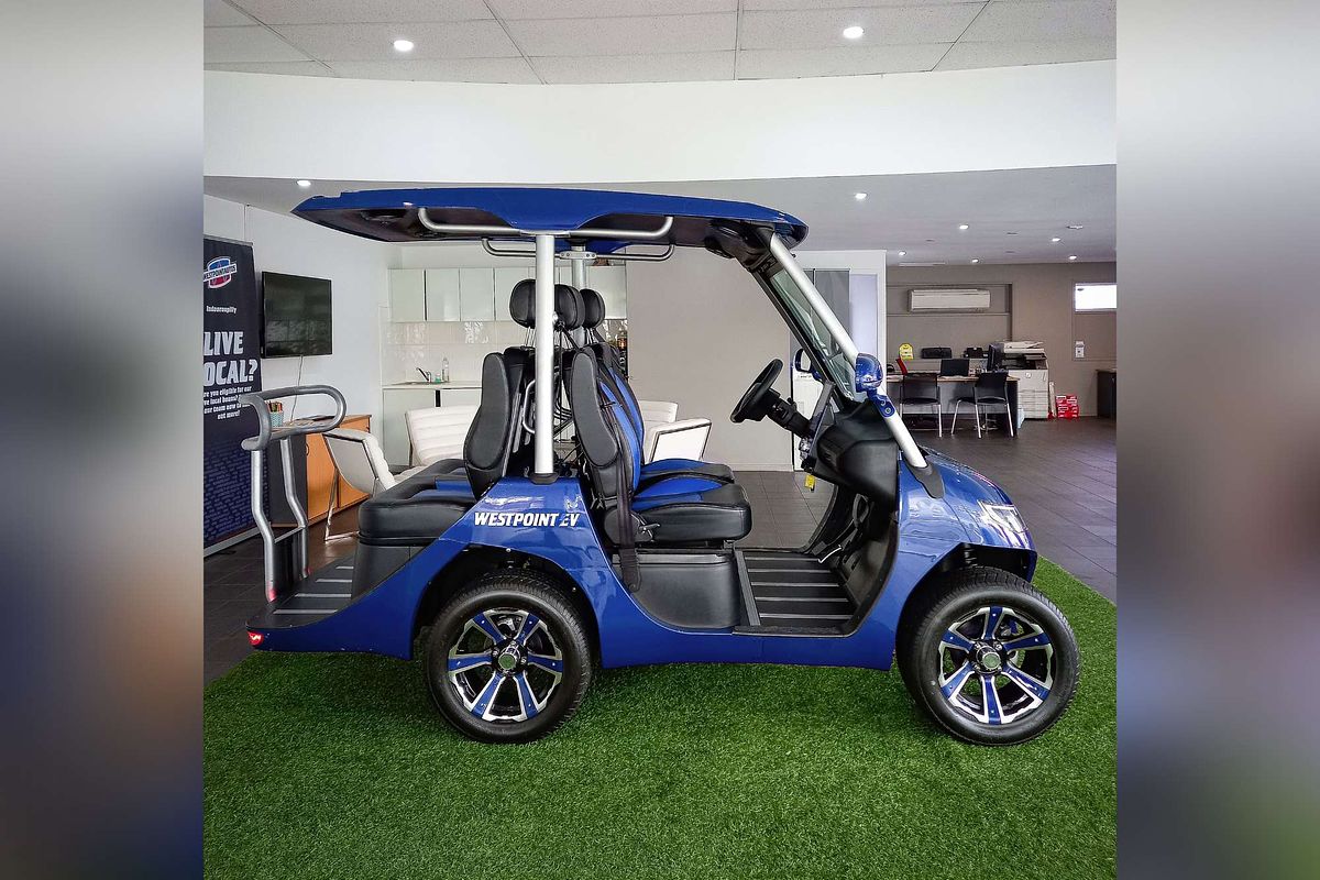 2024 Evolution D3 4 Seater