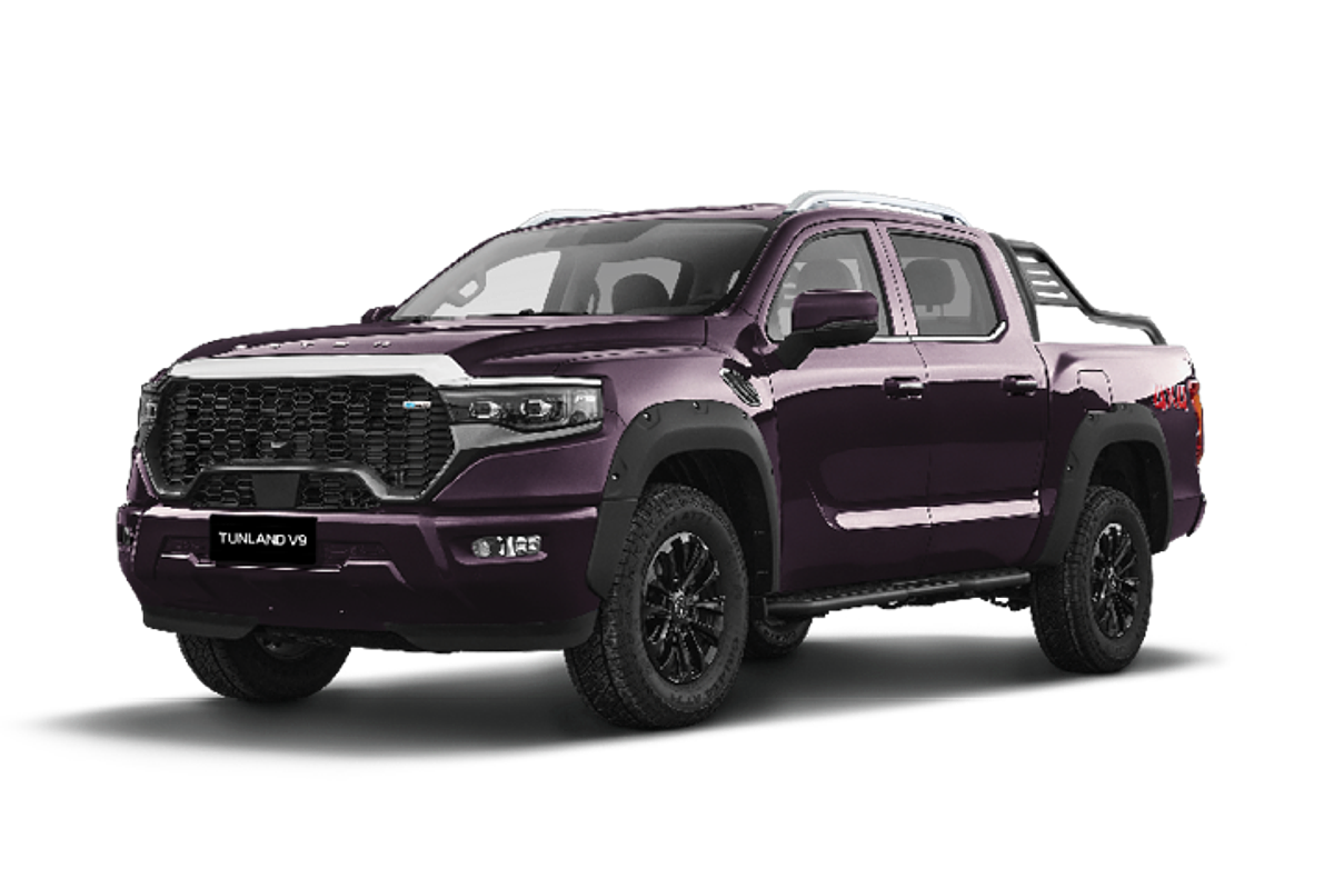 2025 Foton Tunland