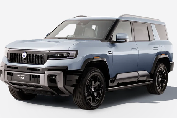 2025 DENZA B8