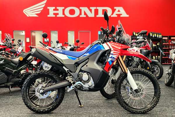 2025 Honda CRF300 RALLY