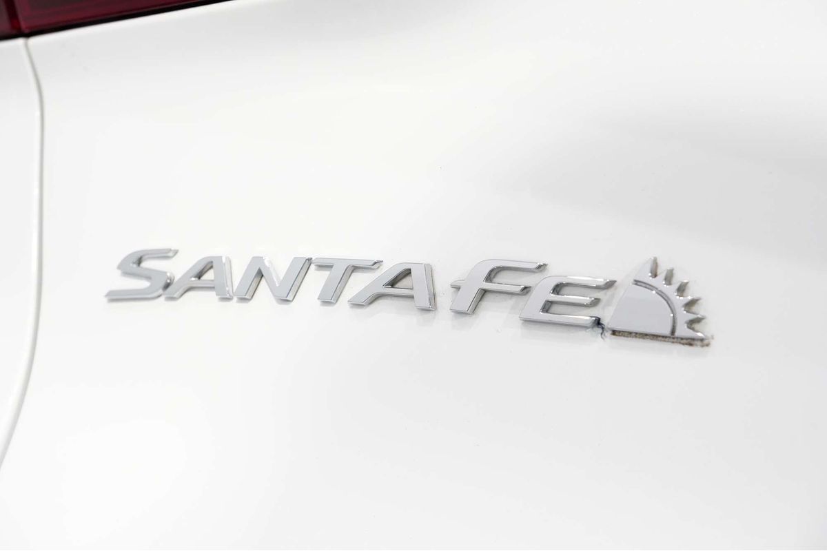 2021 Hyundai Santa Fe TM.V3
