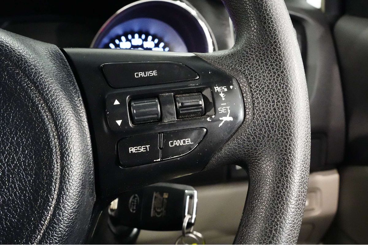 2016 Kia Carnival S YP