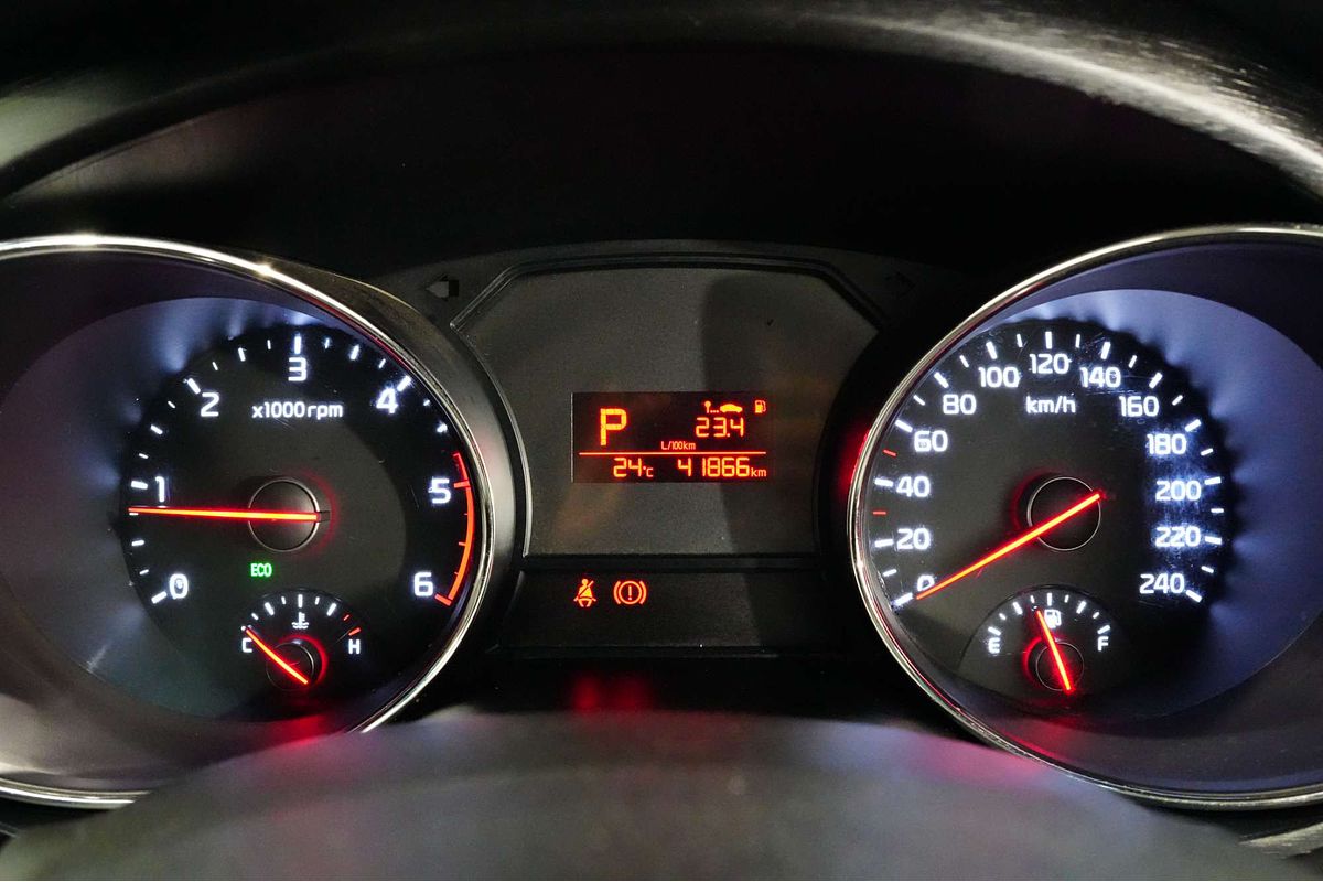 2016 Kia Carnival S YP