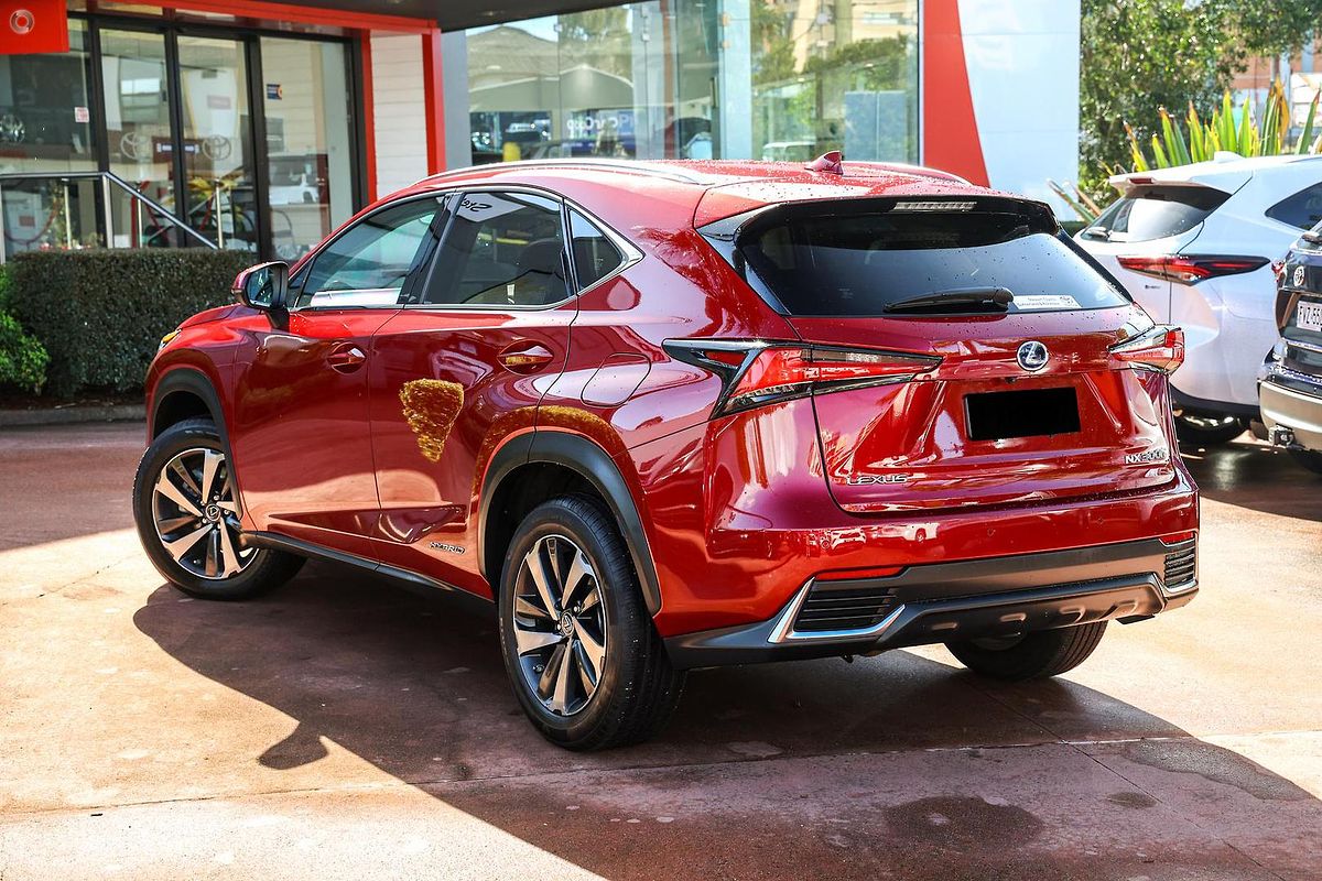 2021 Lexus NX NX300h Sports Luxury AYZ15R
