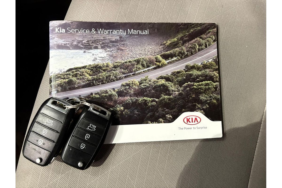2019 Kia Carnival S YP