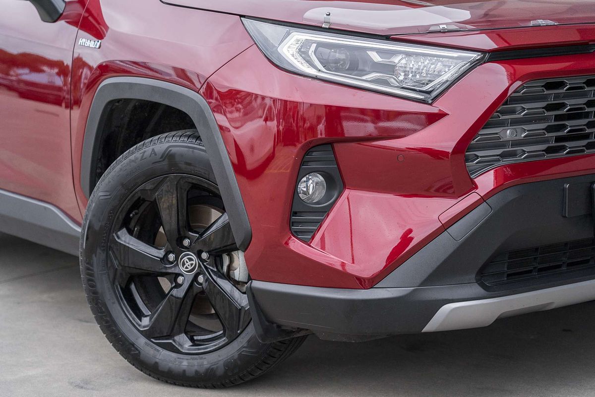 2019 Toyota RAV4 Cruiser AXAH52R