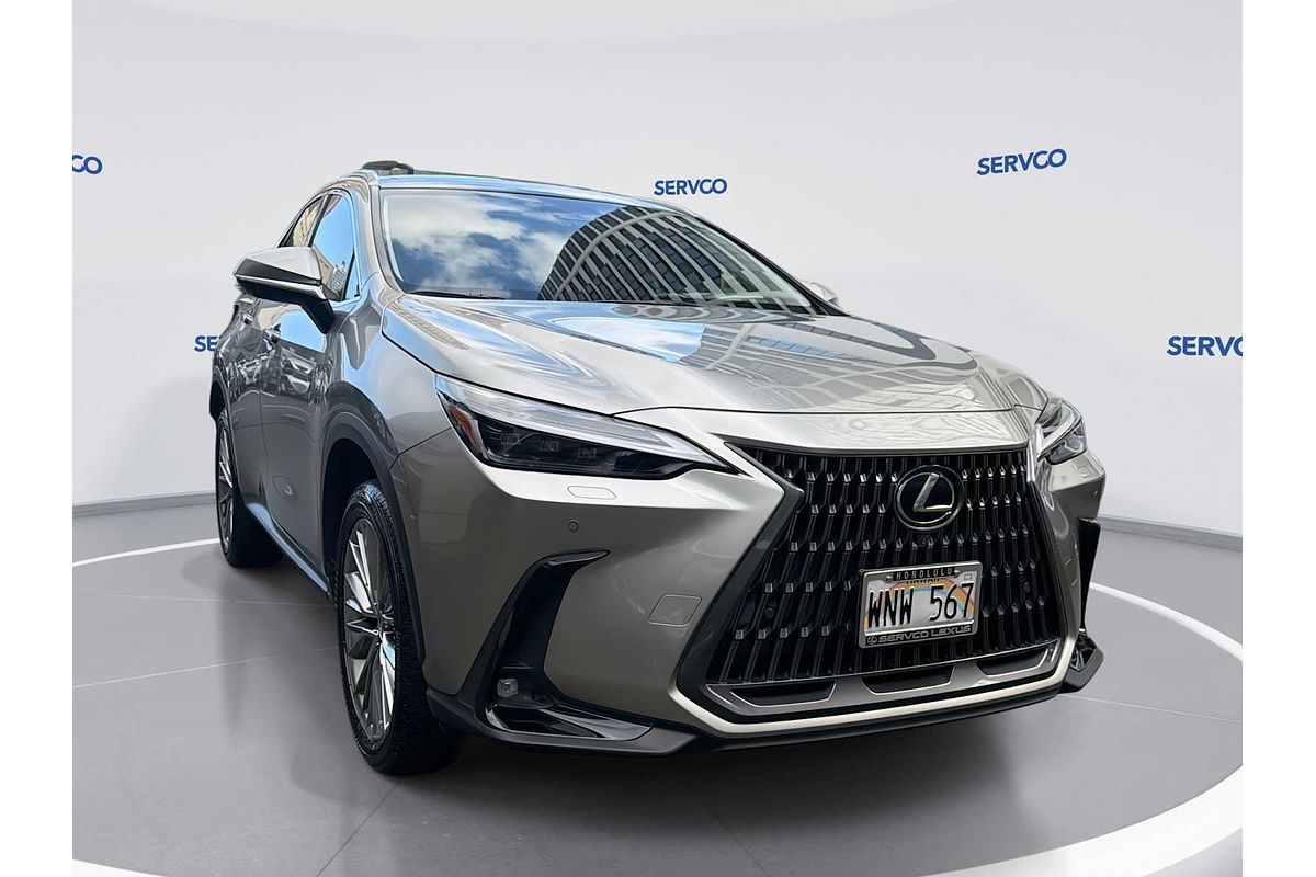 2022 Lexus NX Luxury