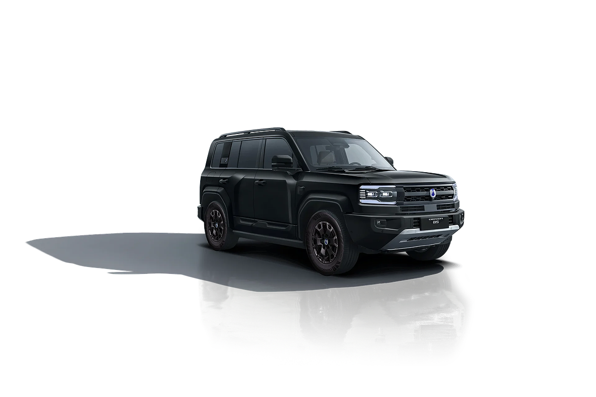 2026 DENZA B5