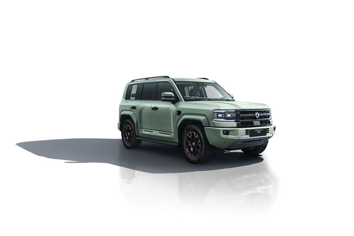 2025 DENZA B5