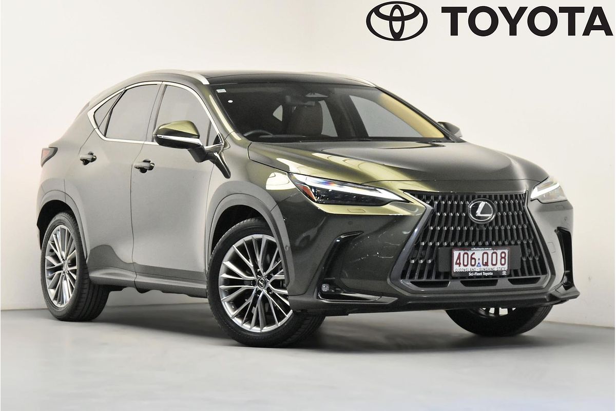 2025 Lexus NX NX350h Sports Luxury AAZH25R