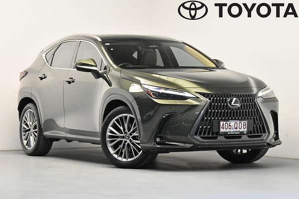 2025 Lexus NX NX350h Sports Luxury AAZH25R