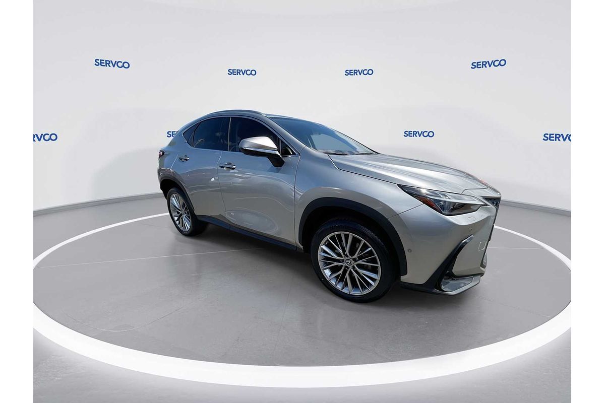 2022 Lexus NX Luxury