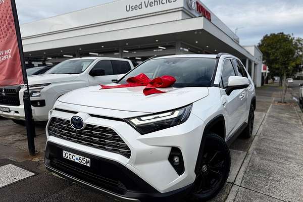 2023 Toyota RAV4 Cruiser AXAH52R