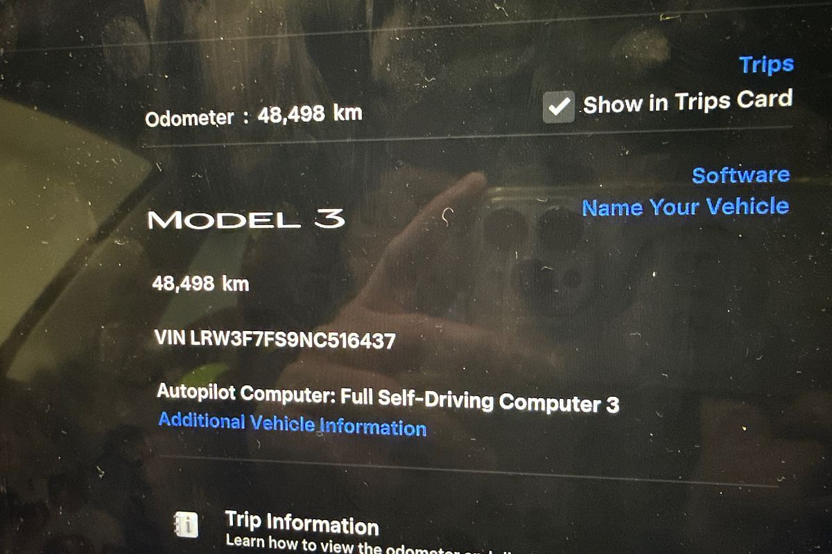 2022 Tesla Model 3 Rear-Wheel Drive