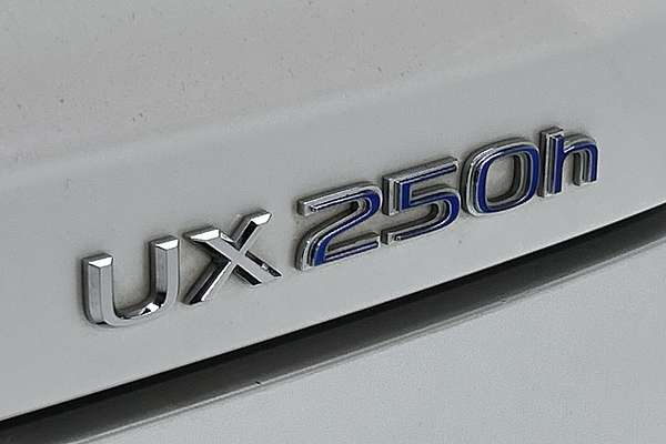 2020 Lexus UX UX250h Sport Luxury MZAH10R thumb-21