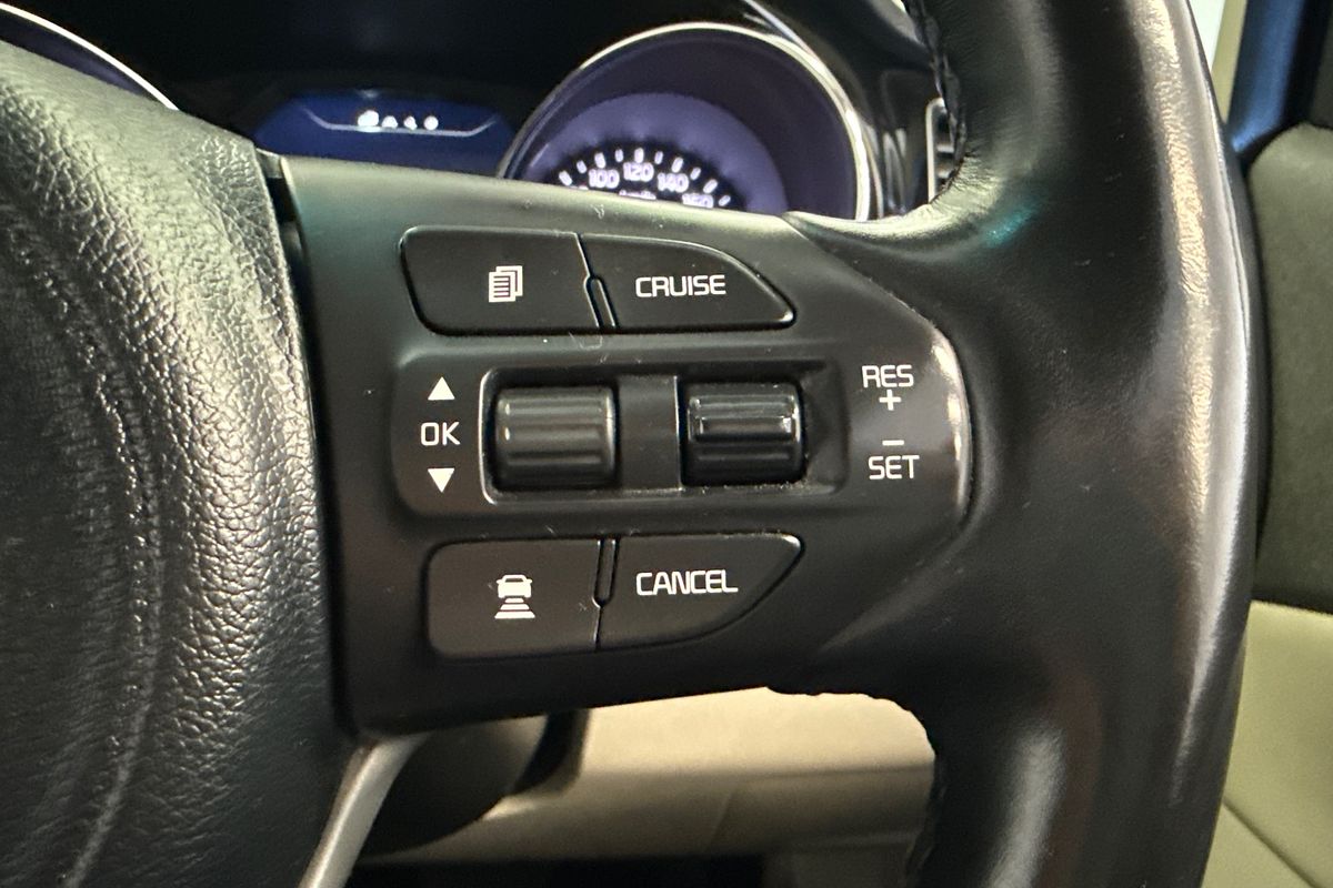 2018 Kia Carnival Platinum YP