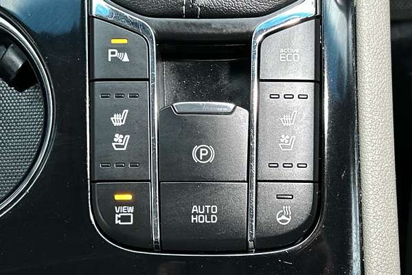 2019 Kia Carnival Platinum YP thumb-17
