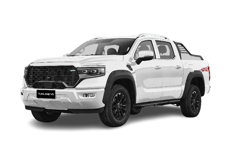 2026 Foton Tunland V9-S P4