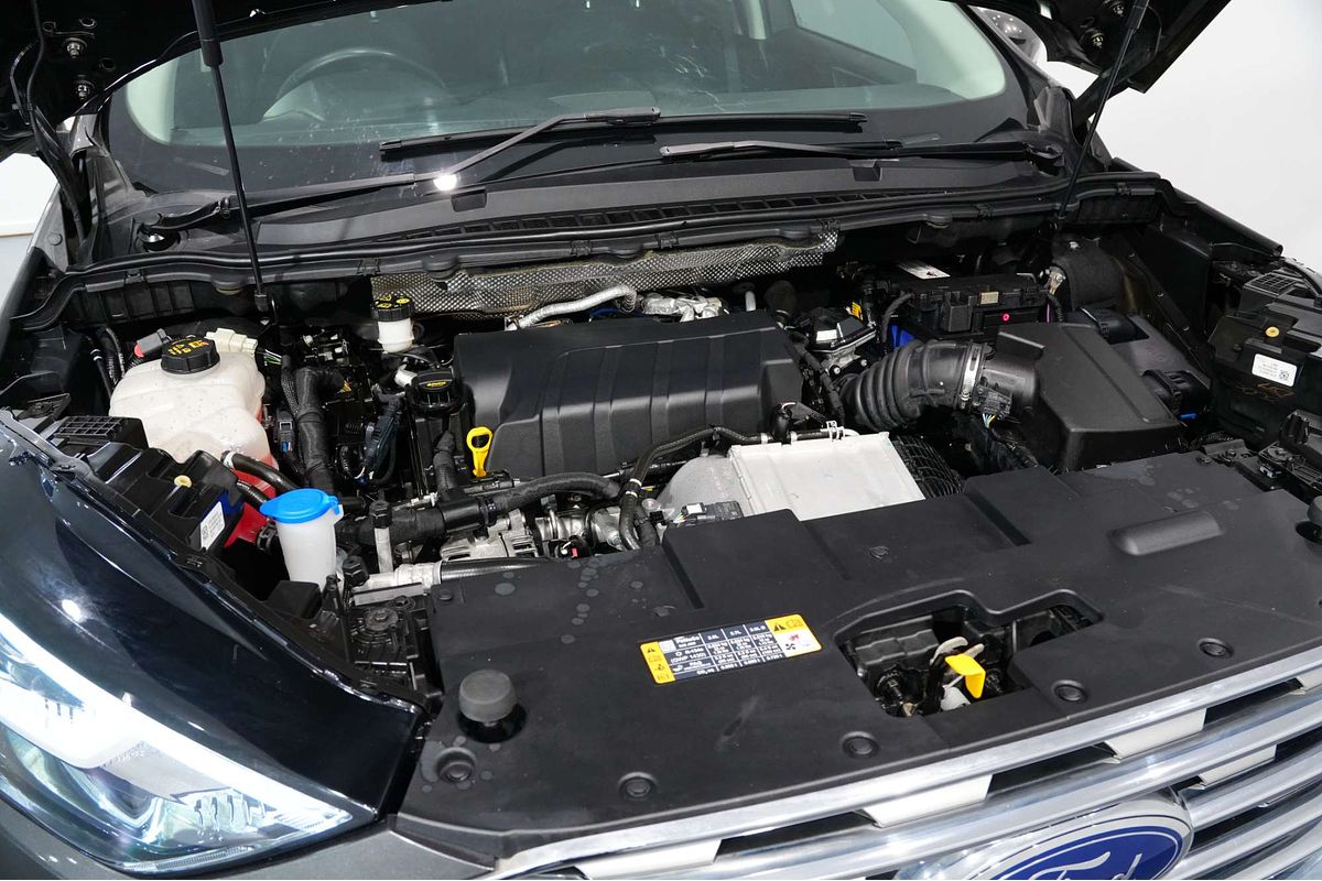 2019 Ford Endura Trend CA