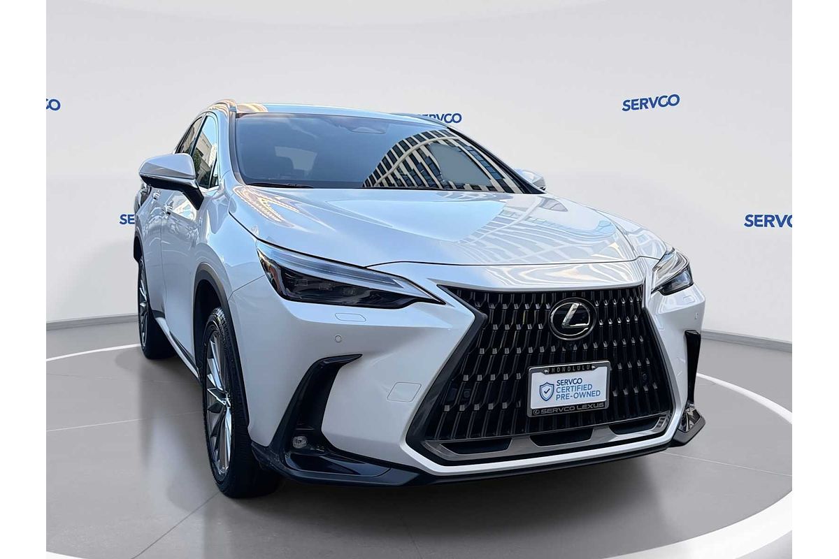 2024 Lexus NX Luxury