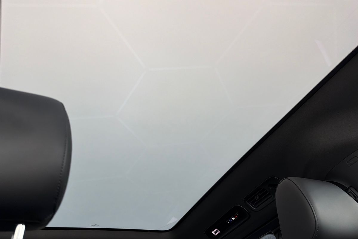 2025 Volkswagen ID. Buzz GTX EB LWB