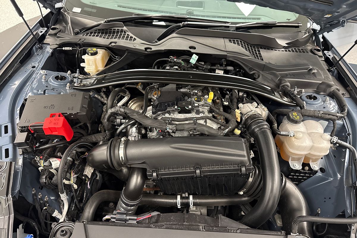 2025 Ford Mustang Ecoboost FO