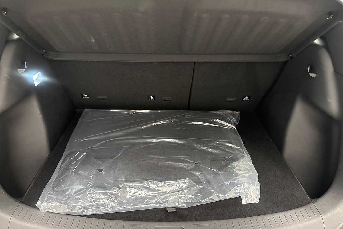 2025 BYD ATTO 2 Premium