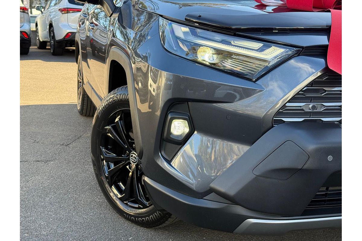 2024 Toyota RAV4 Cruiser AXAH54R