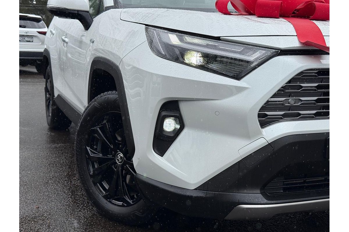 2024 Toyota RAV4 Cruiser AXAH52R
