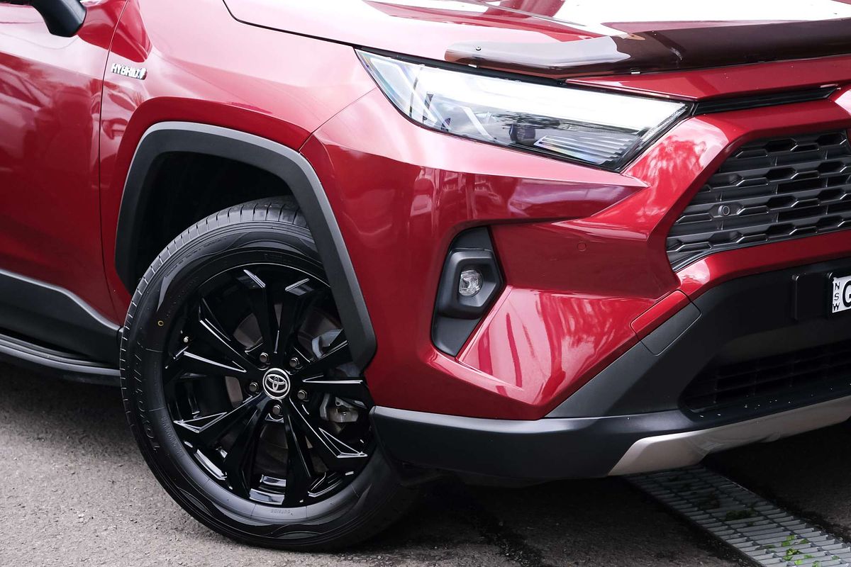 2022 Toyota RAV4 Cruiser AXAH54R