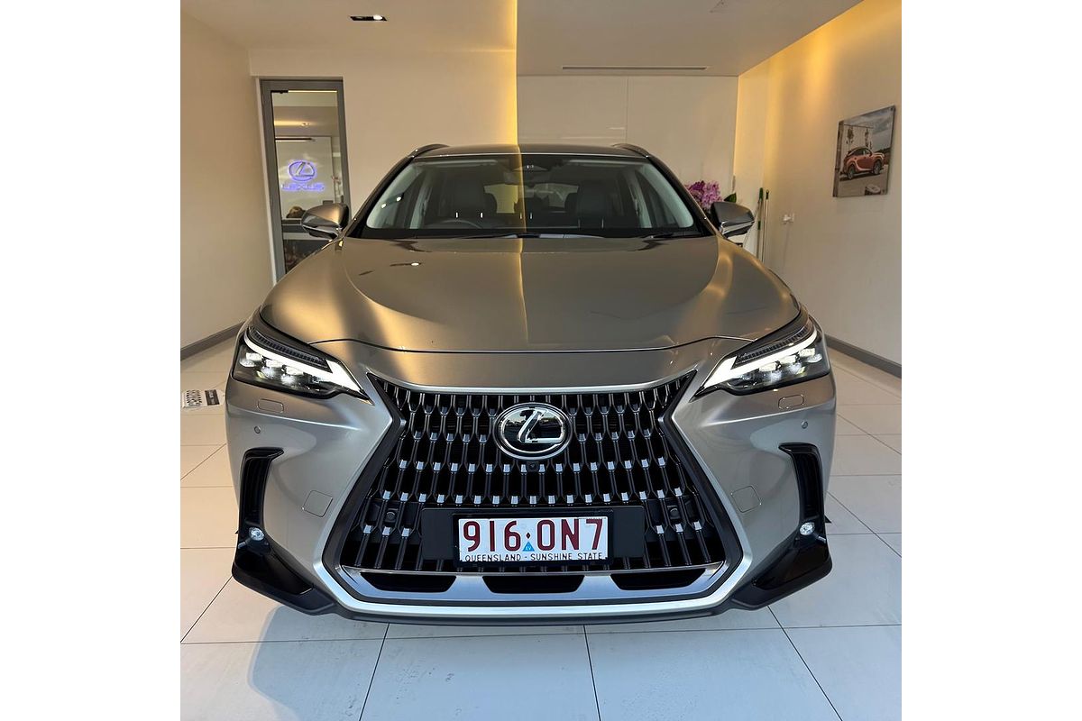 2025 Lexus NX NX350h Sports Luxury AAZH20R