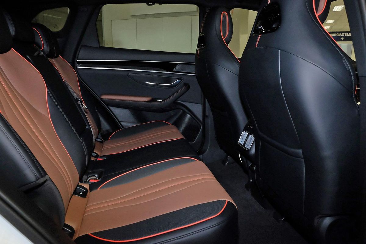 2024 BYD SEALION 6 Dynamic image 10