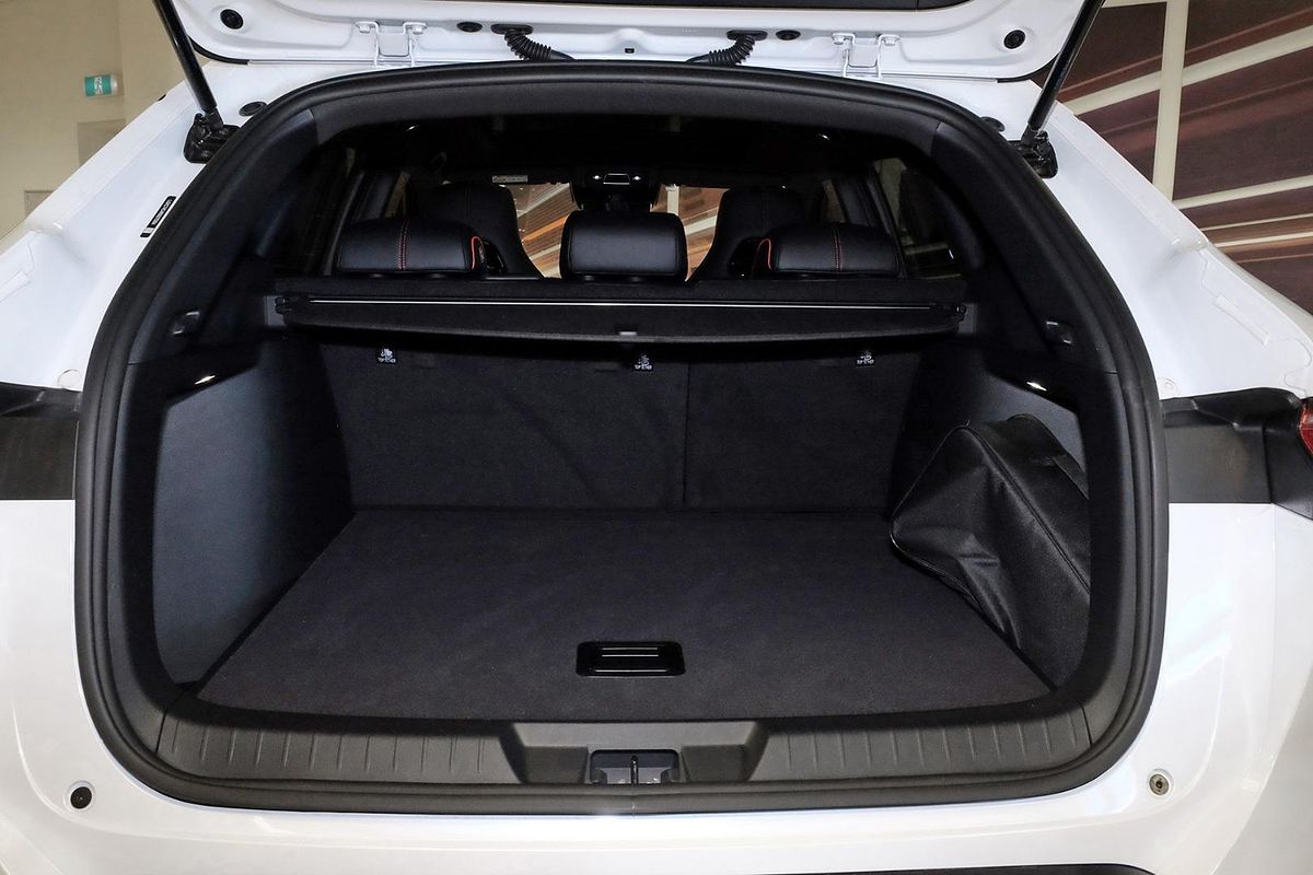 2024 BYD SEALION 6 Dynamic image 22