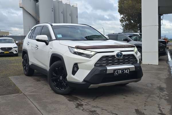 2024 Toyota RAV4 Cruiser AXAH54R