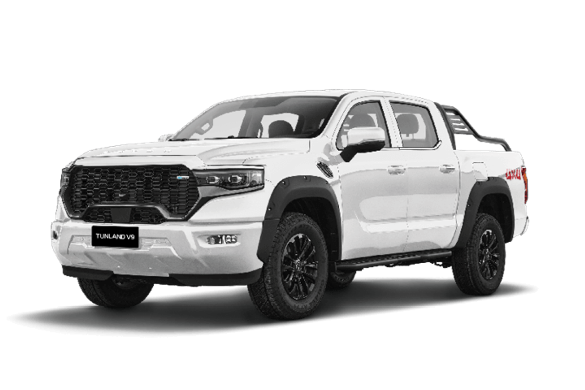 2025 Foton Tunland V9-L P4