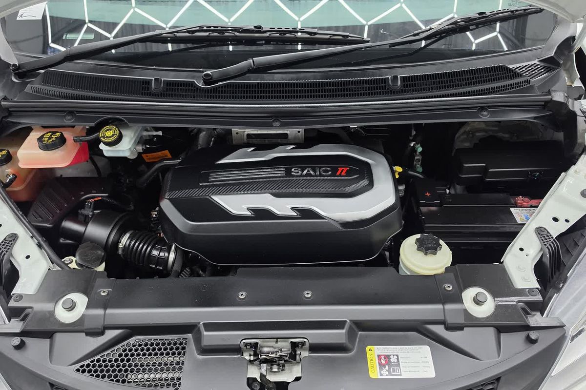 2023 LDV G10 + SV7C