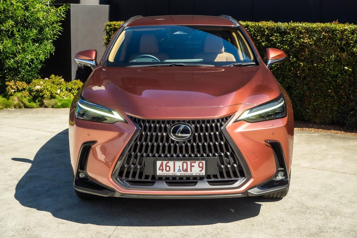 2025 Lexus NX NX350h Sports Luxury AAZH20R