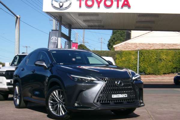 2025 Lexus NX NX350h Sports Luxury AAZH20R