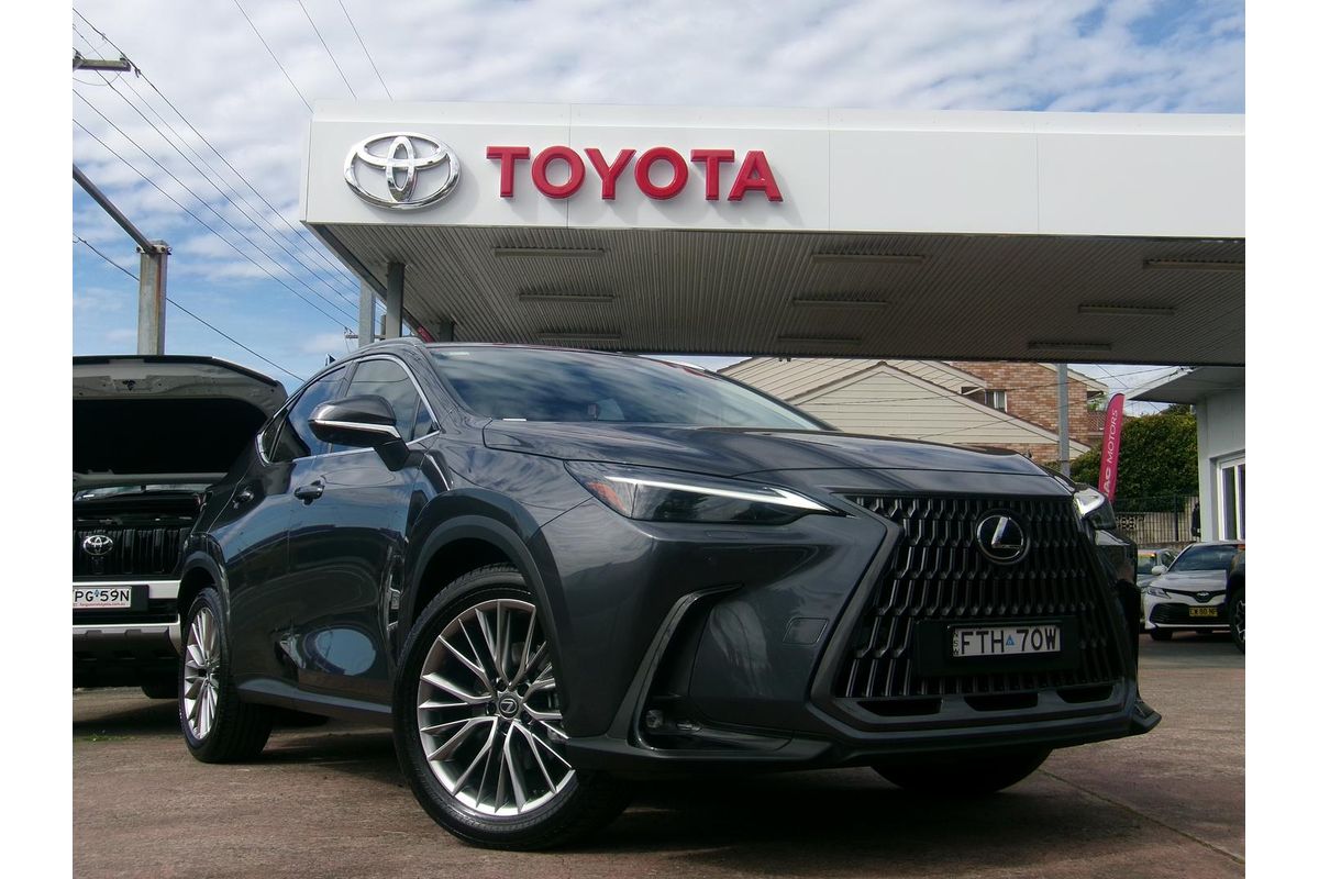 2025 Lexus NX NX350h Sports Luxury AAZH20R