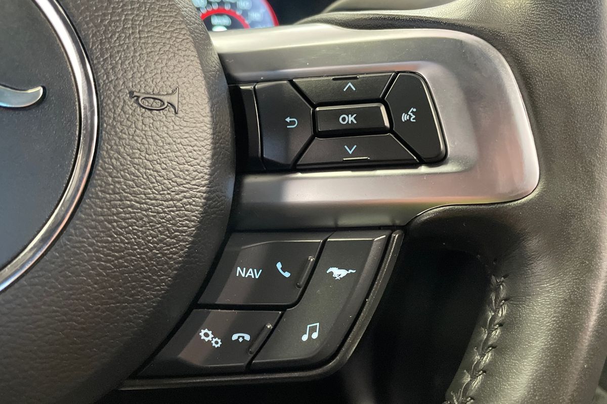 2019 Ford Mustang GT FN