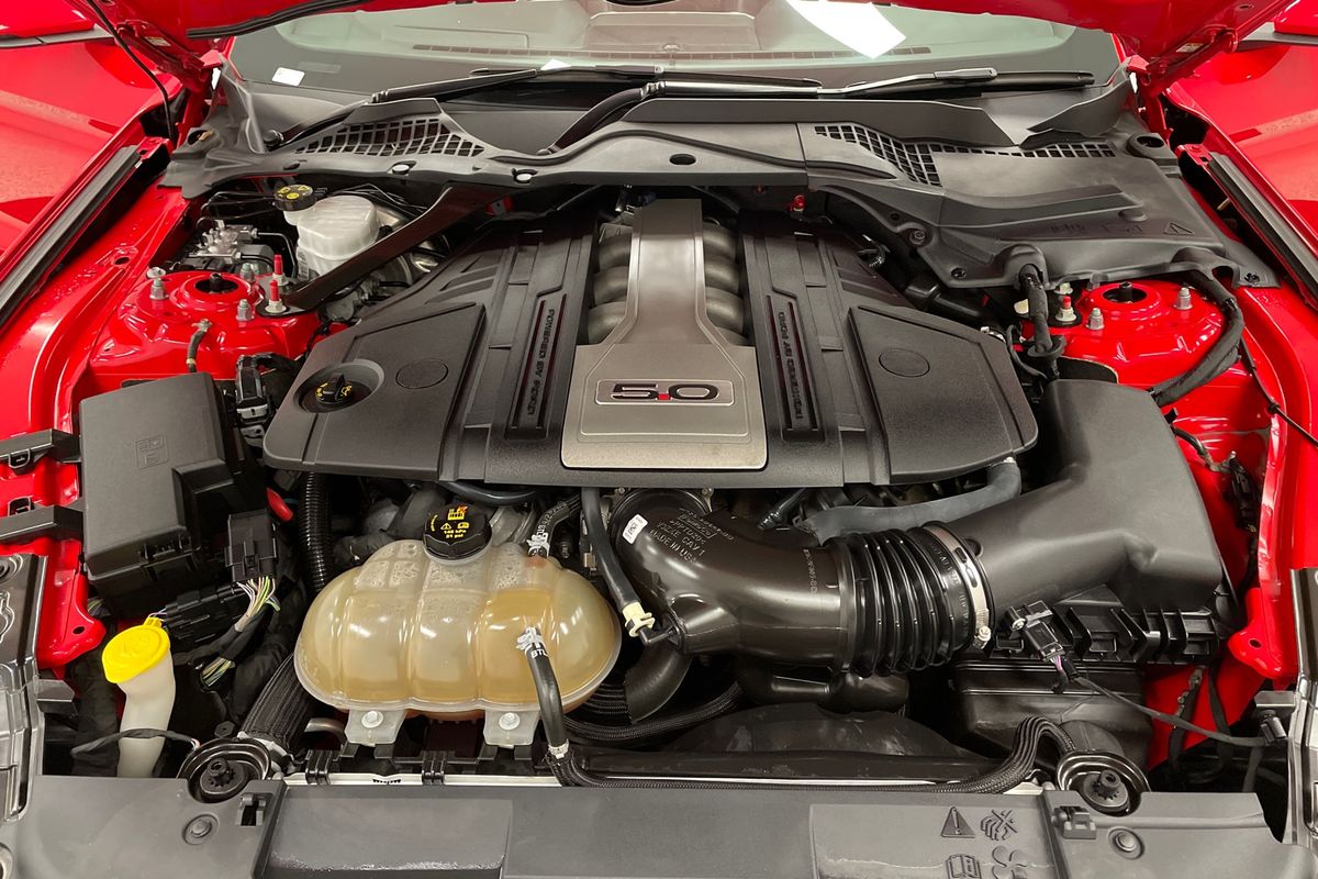 2019 Ford Mustang GT FN