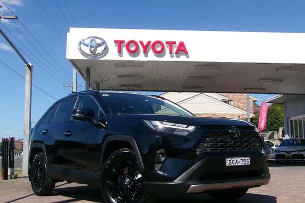 2025 Toyota RAV4 Cruiser AXAH52R