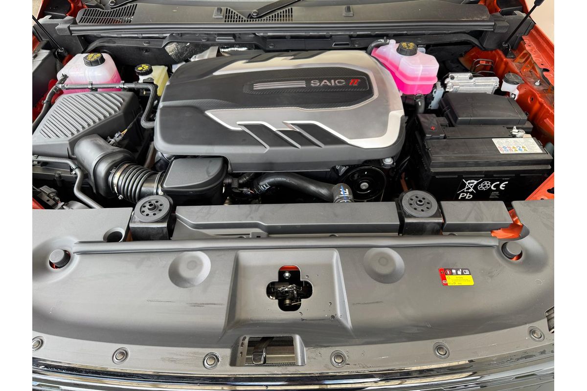 2025 LDV T60 Max PLUS SK8C 4X4 image 18