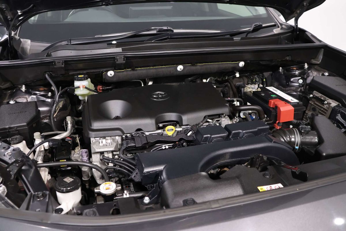 2019 Toyota RAV4 Edge AXAA54R