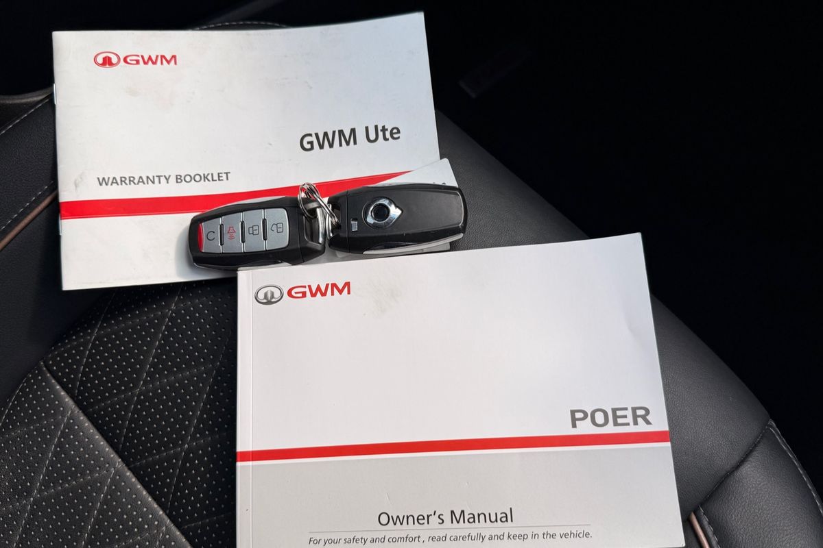 2021 GWM Ute Cannon-X NPW 4X4 image 25