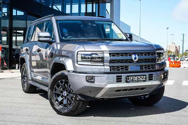 2025 DENZA B5