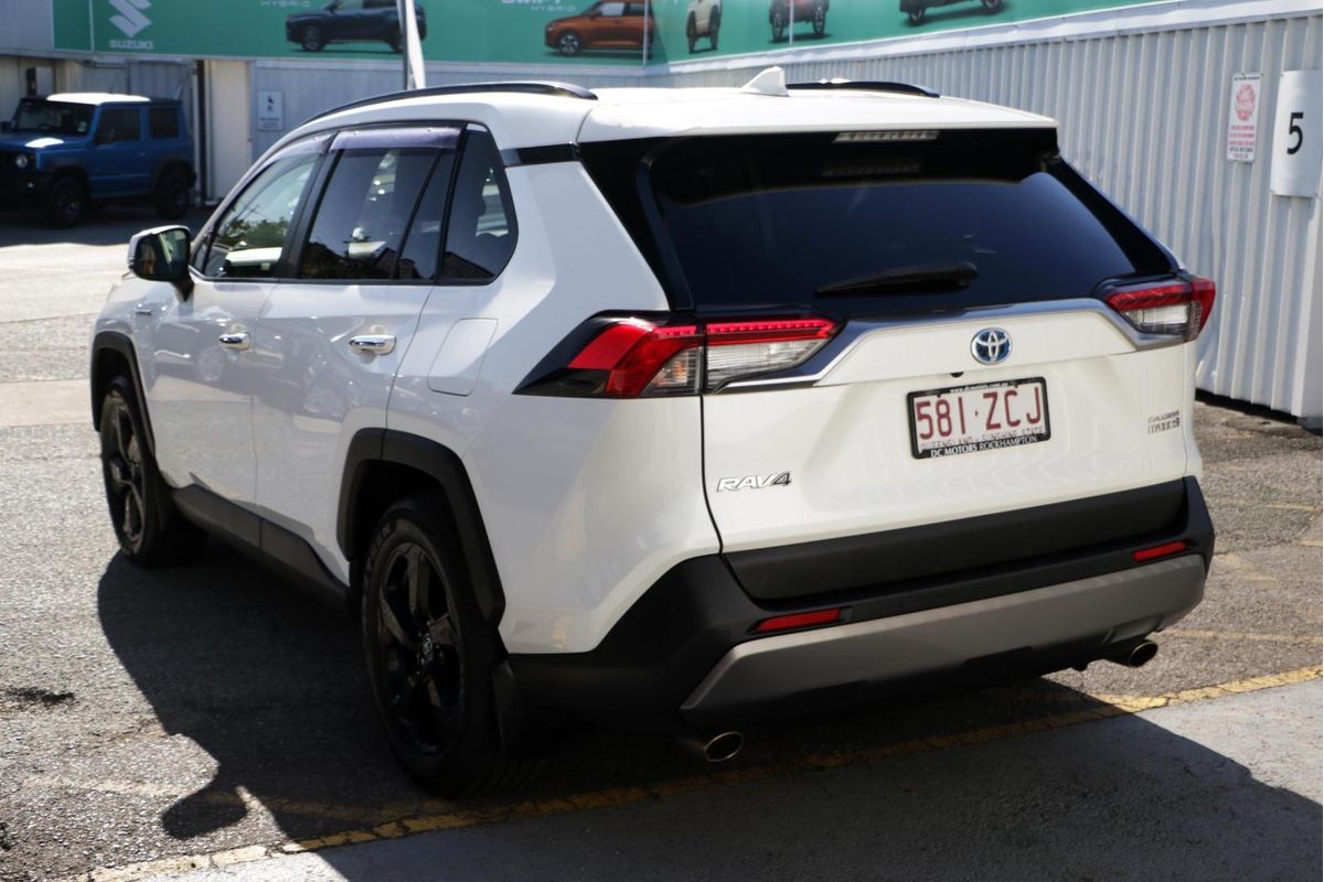 2019 Toyota RAV4 Cruiser AXAH54R