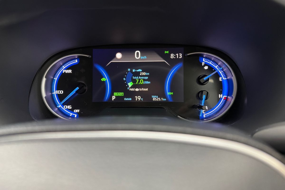 2020 Toyota RAV4 Cruiser AXAH54R