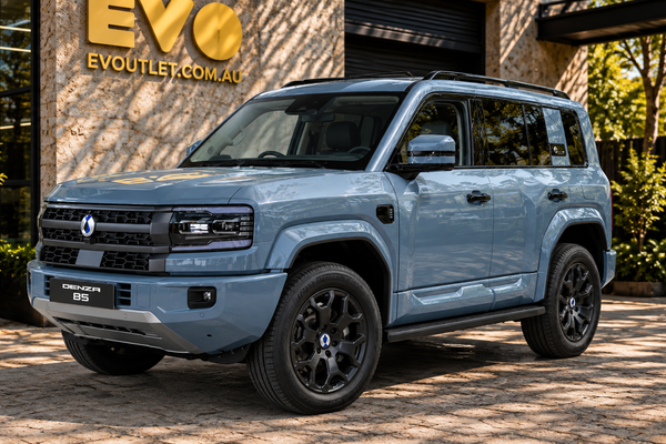 2025 DENZA B5 Leopard