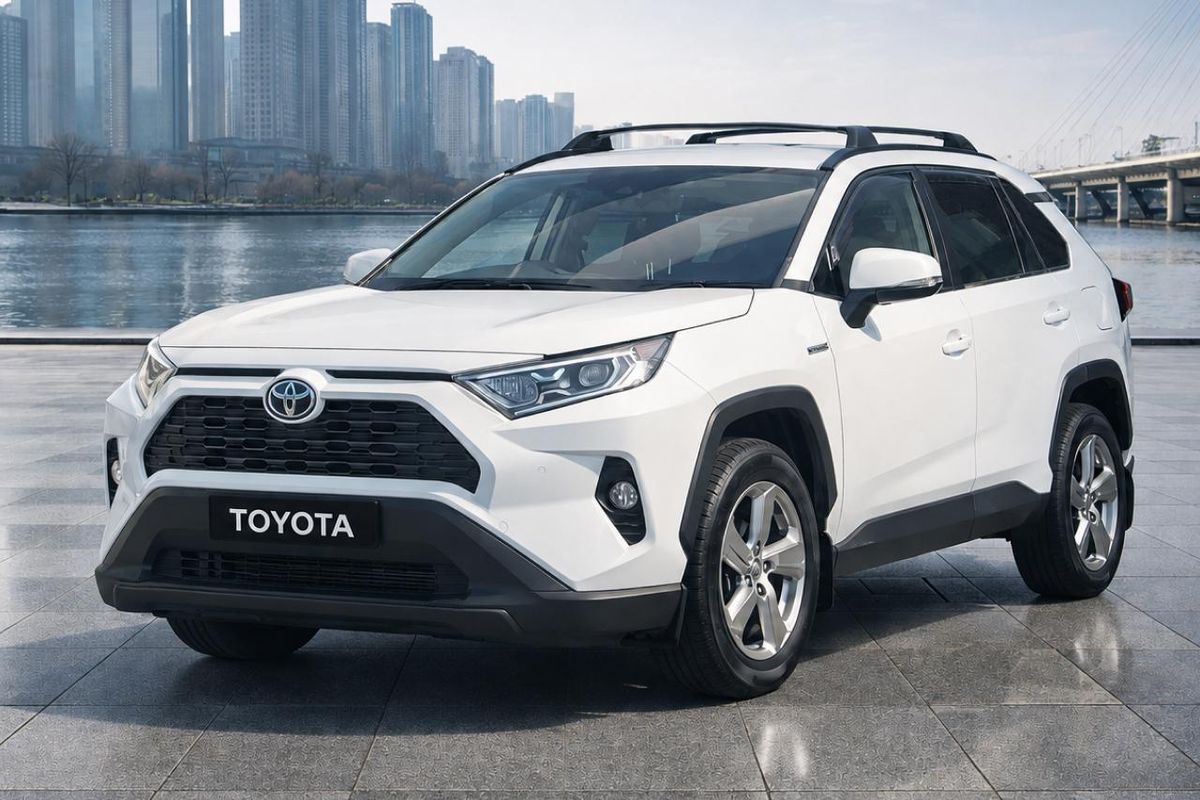 2019 Toyota RAV4 GXL AXAH52R